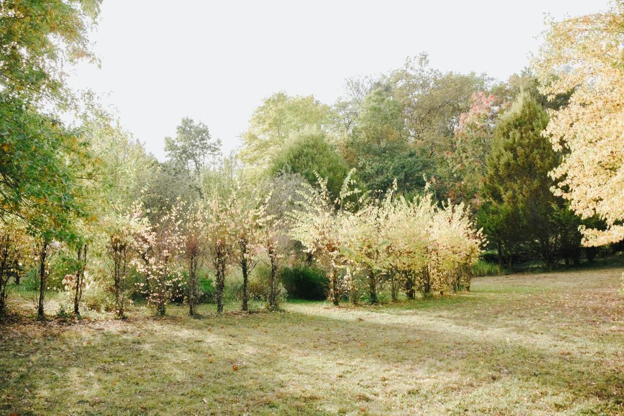Maison Cistus - Maison D'Hotes De Charme - Suites Et Gite Avec Terrasses Privees - Proche De Sarlat, Au Coeur De La Nature Kültér fotó